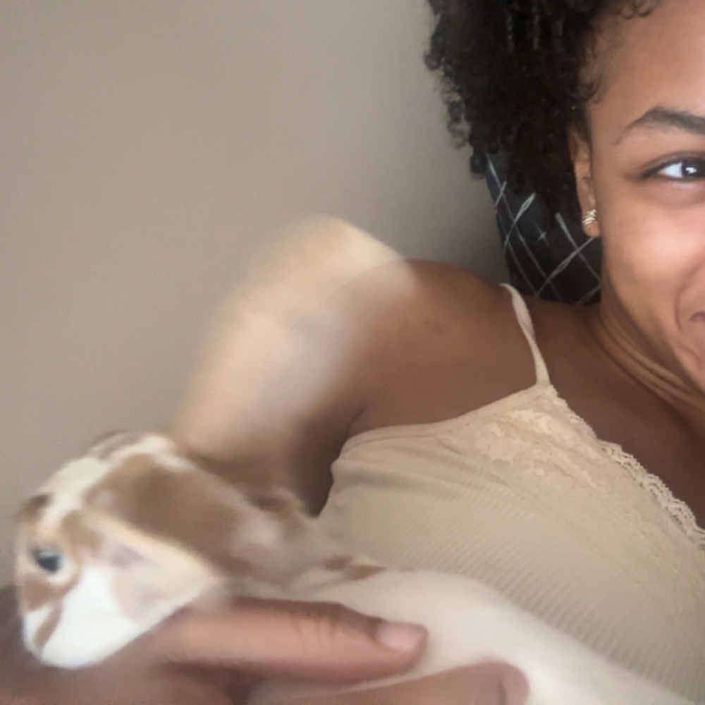 Meet your Posher, Ally